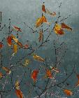 Cerisier, automne